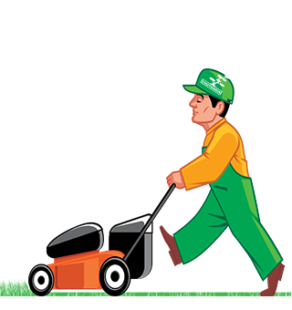 Services